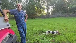 Thumbnail: Water Coming Out of the Ground and Fruit Orchard Tour