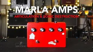 Thumbnail: Marla Amplification // Geriatric Chihuahua Overdrive w/Boost (Demo)