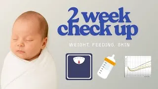 Thumbnail: 2 Weeks Old Already? Here’s What Your Pediatrician Will Check | Feeding, Weight, skin, screening
