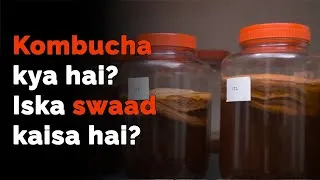 Thumbnail: What is Kombucha? What does Kombucha taste like? How to drink Kombucha?