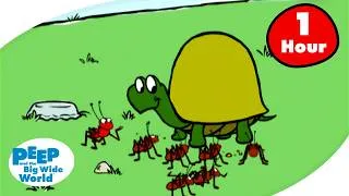 Thumbnail: Newton Sees The World! | Peep and the Big Wide World