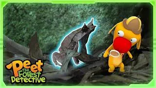 Thumbnail: Who Ate the Honey?🐞🦗 | Full Episode | Cartoons for Kids | Peet The Forest Detective