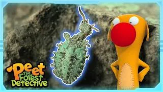 Thumbnail: Battle of the Bravest Insects🦗🕷 | Full Episode | Cartoons for Kids | Peet The Forest Detective