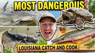 Thumbnail: Catching the MOST Dangerous Species in Louisiana (Catch and Cook Compilation)