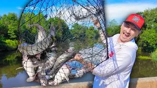 Thumbnail: First Time Using a Catfish Wire Net! (Louisiana Catfish Catch and Cook)