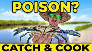 Thumbnail: Are These Crabs TOXIC? (Testing New Nets)