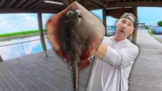 Thumbnail: Poor Man's Scallops? Stingray Catch Clean Cook
