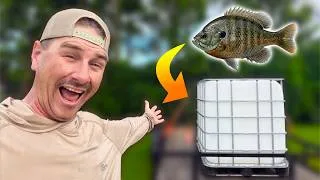 Thumbnail: Making and Stocking a Homemade Bait Tank to Catch GIANT Catfish!