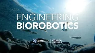 Thumbnail: Centipedes, fish, and insects: Inside Penn State’s biorobotics research