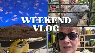 Thumbnail: Weekend Vlog | Day Out with Paul & Lucie 🌿 Garden Update – Can Paul Save the Plants?