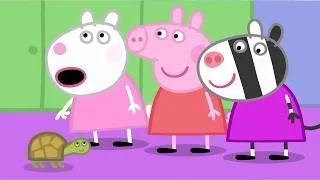 Thumbnail: Peppa Pig Playground 🐽 | Dr Hamster’s Tortoise | Peppa Pig Full Episodes