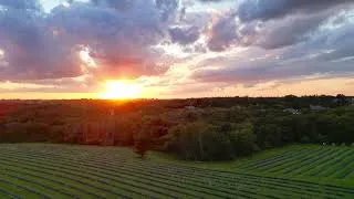 Thumbnail: View of the Lavender Field | PepperHarrowFarm.com