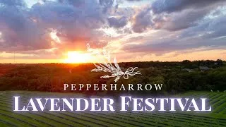 Thumbnail: Lavender in Full Bloom-Behind the Scenes of Our Biggest Weekend