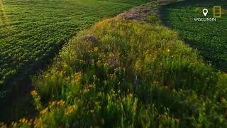Thumbnail: Meet the #NatGeoExplorers Exploring the Future of Food | Food for Tomorrow
