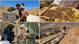 Thumbnail: **From Pasture to Pure Honey: Ali and Farzaneh's Happy Mountain Harvest! 🐝🌿**