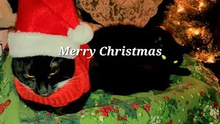 Thumbnail: Christmas Day 2025 (and a just okay cover of Auld Lang Syne)