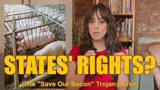Thumbnail: The "Save Our Bacon" Trojan Horse