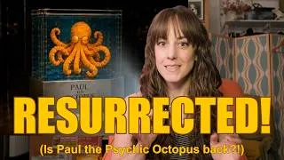 Thumbnail: Paul the Psychic Octopus is BACK? Because of IRAN?!?