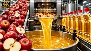 Thumbnail: Inside an Apple Juice Factory: From Fresh Apples to Bottled Juice | Full Process