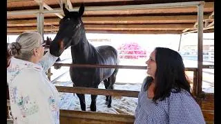 Thumbnail: Realtor Daniele Smith Interviews Kathy Holman @ the Ortega Equestrian Center in San Juan Capistrano