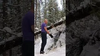 Thumbnail: Timelapse Hatchet Log