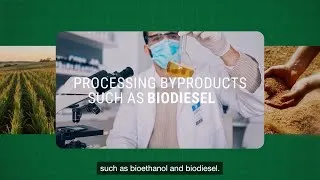 Thumbnail: The Science That Keeps Biofuels Flowing