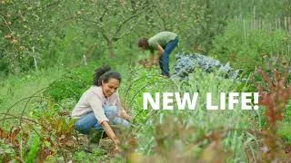 Thumbnail: BUILD YOUR GREEN PROJECT WITH PERMA COIN
