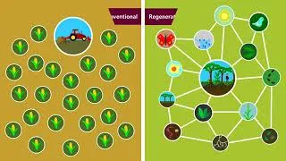 Thumbnail: What is Regenerative Agriculture Perma Coin Project