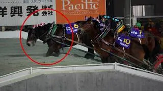 Thumbnail: PETA Asia Exposes Japan’s Ban’ei Horse Racing Industry 🚨🐴