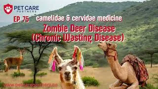 Thumbnail: EP 75 | Zombie Deer Disease (Chronic Wasting Disease) in Camelidae & Cervidae