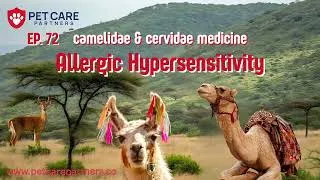 Thumbnail: EP 72 | Allergic Hypersensitivity in Camelidae & Cervidae