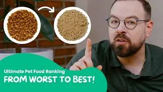 Thumbnail: The Ultimate Pet Food Tier List: 8 Types Ranked by a Pro