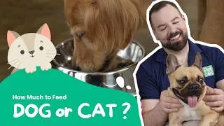 Thumbnail: Pet Food Feeding Calculator Explained: How Much Should My Dog / Cat Eat?