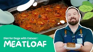 Thumbnail: Feeding Dogs with Cancer: Easy Homemade Meatloaf Diet
