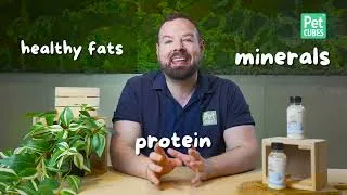 Thumbnail: PhD Nutritionist Explains the Best Milk for Dogs & Cats – Benefits & Differences!