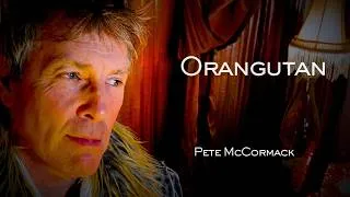 Thumbnail: ORANGUTAN