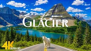 Thumbnail: Glacier National Park 4K – Bears, Moose & Wildlife in America’s Alpine Wilderness