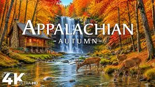 Thumbnail: Autumn in Appalachian 4K UHD 🍁 Crimson Ridges, Golden Forest Roads & Misty Mountain Mornings