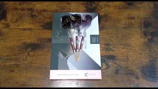 Thumbnail: Stephen Bunting 95K Darts Review!!!