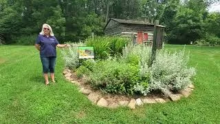 Thumbnail: Garden tour with Cindy
