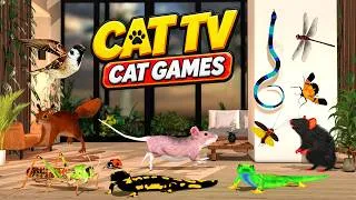Thumbnail: Videos for Cats to Watch 🐱 | Mouse, Birds, Bugs & Lizards | Cat TV