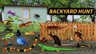 Thumbnail: Backyard Bugs, Sneaky Mice & Endless Cat Entertainment