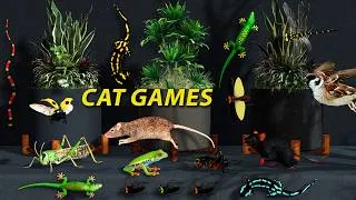 Thumbnail: Cat TV | Ultimate Mouse Chase Compilation with Bugs & Lizard | 8 Hour 3D Cat Games for Cats to Watch