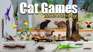 Thumbnail: Cat TV - Cat Games Compilation with Fast Moving Lizard, Centipede, Mouse and more - 8 hour 4k