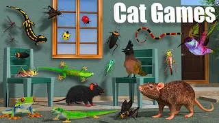 Thumbnail: Cat TV | Cat Videos for Cats to Watch 🐱 Fast Moving Lizard, 🐭 Mouse & Bugs | Cat Games Compilation