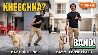 Thumbnail: Puppy Kheechta Hai? 7 Din Me Loose Leash Walk Sikhao