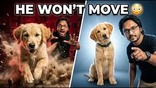 Thumbnail: Dog Runs Out the Door? STOP It Fast With This 'Stay' Technique!