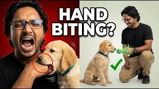 Thumbnail: Khelte Waqt Puppy Play Biting Kaise Rokein? | Stop Puppy Biting | Dog Training in Hindi