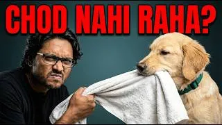 Thumbnail: When Puppy Grabs Clothes… Teach DROP in 10 Minutes Live #petguruacademy #dogbehavior #dogtraining