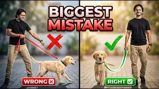 Thumbnail: Train Your Dog to Stop Pulling in 10 Minutes: Live Correction